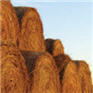 crop-hay